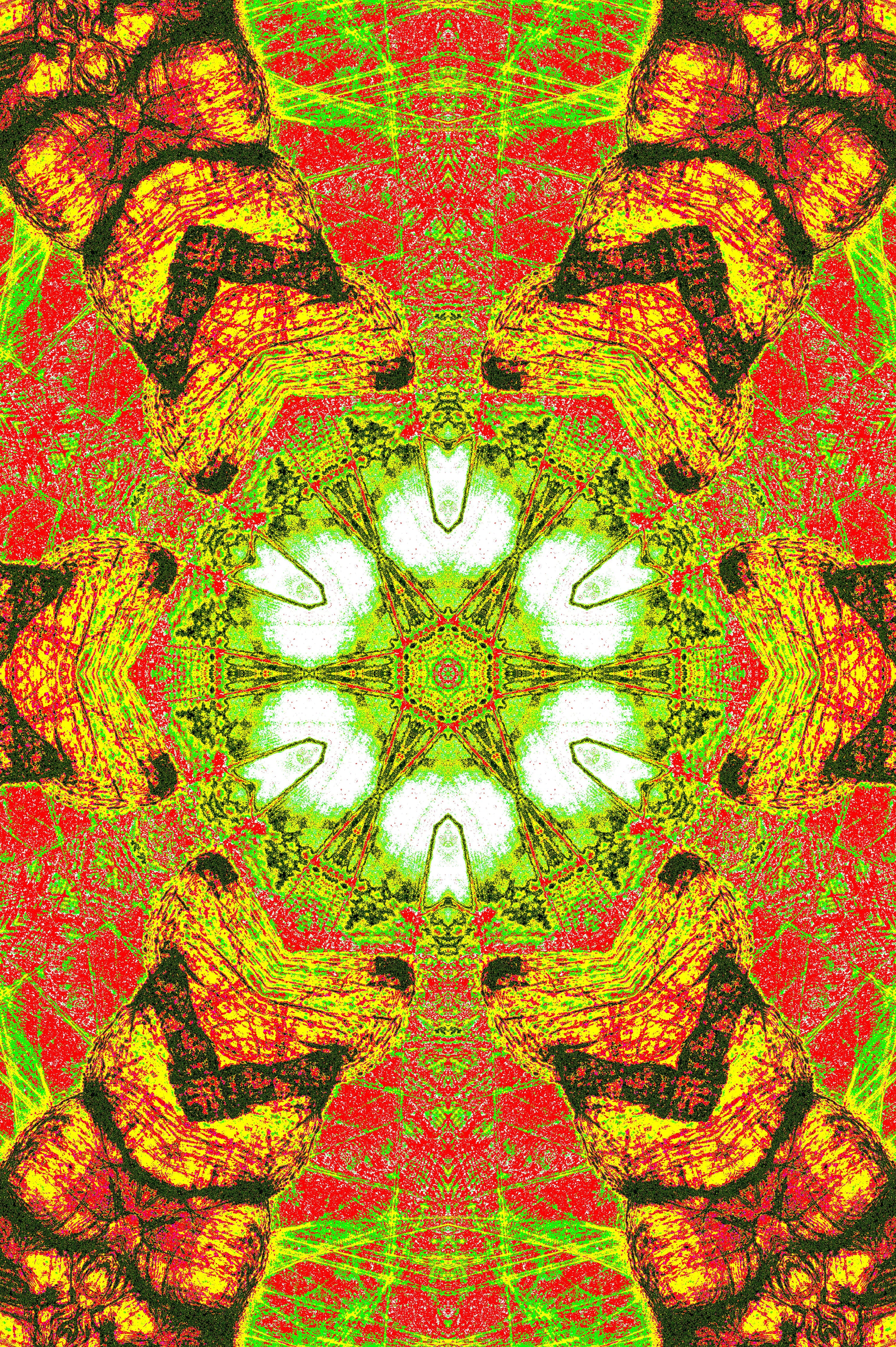TROPISCHES KALEIDOSKOP — Premium Digitaler
