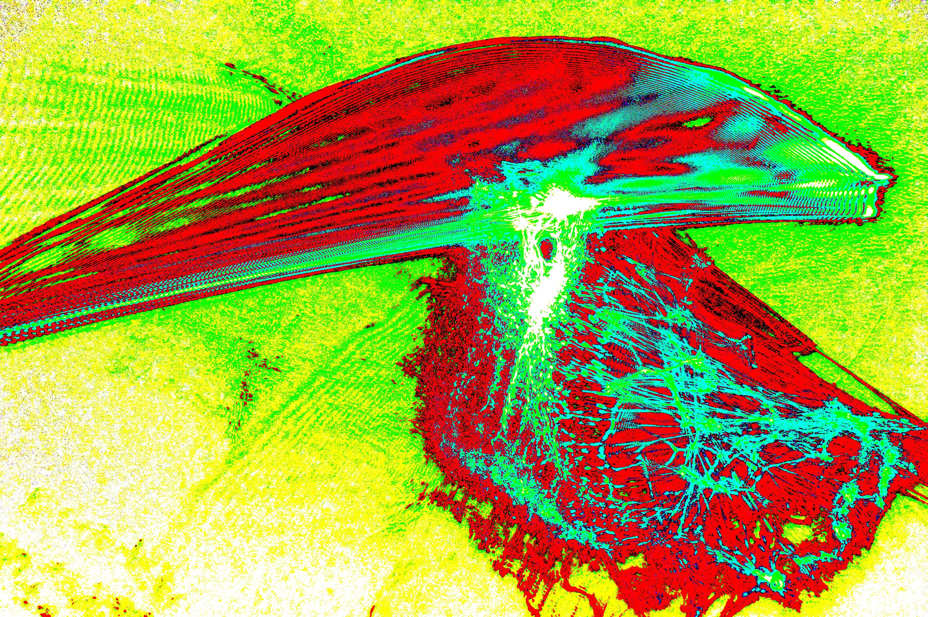 STRAHLENDER VEKTOR — Premium Kunstprint