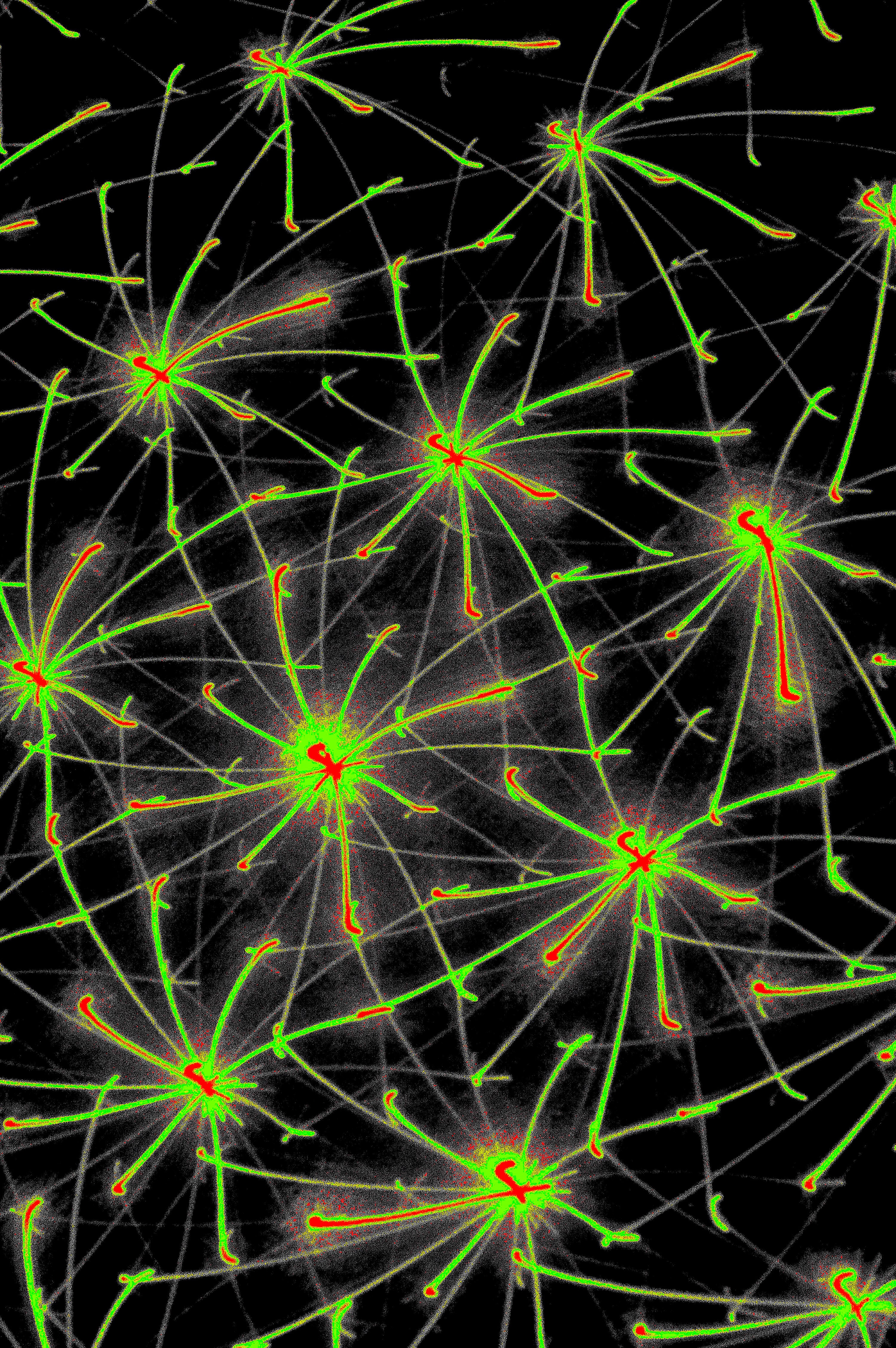 QUANTUM MATRIX — Digitale Kunst zum Download