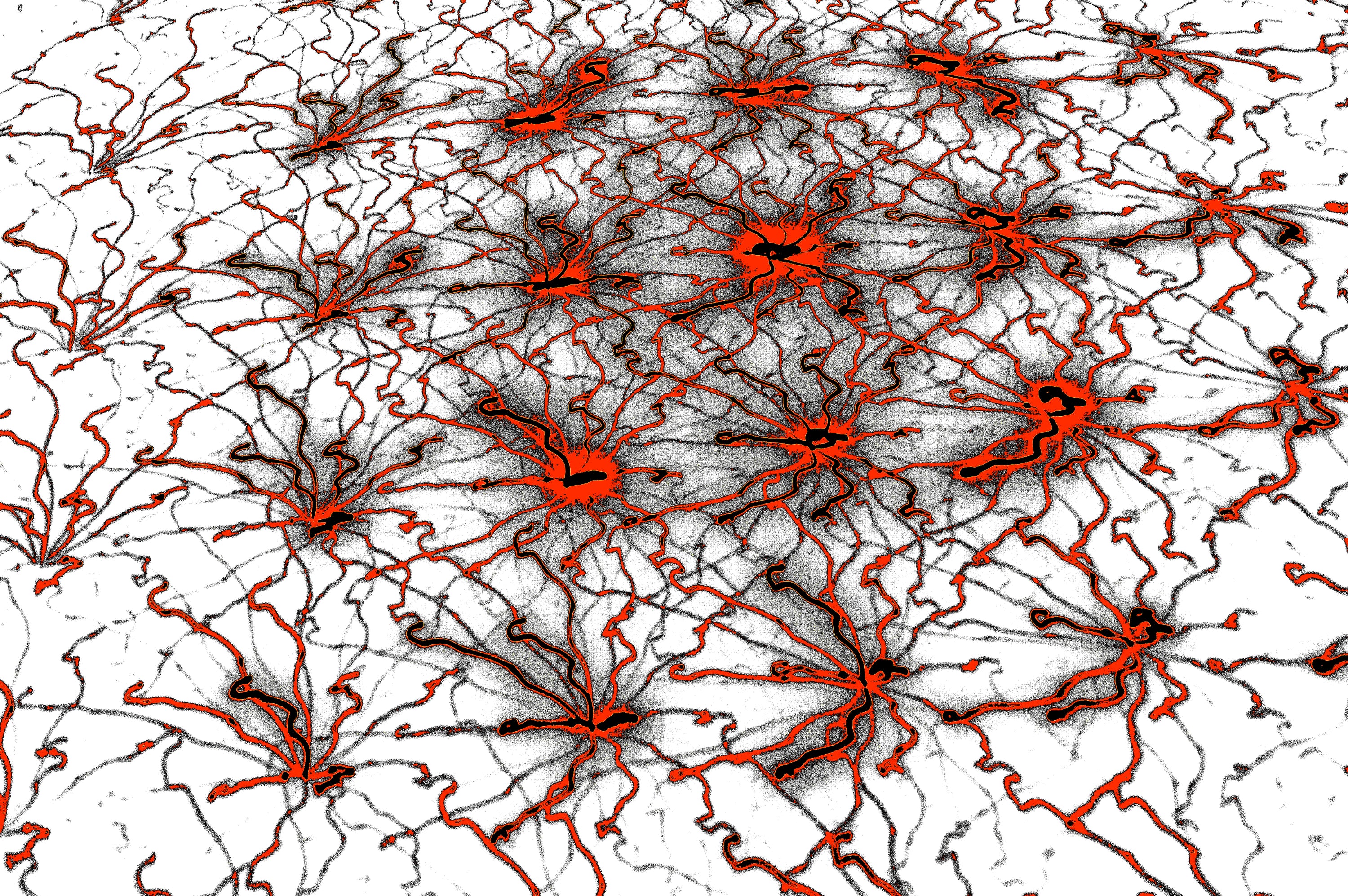 OPEN NETWORK — Premium Kunstprint
