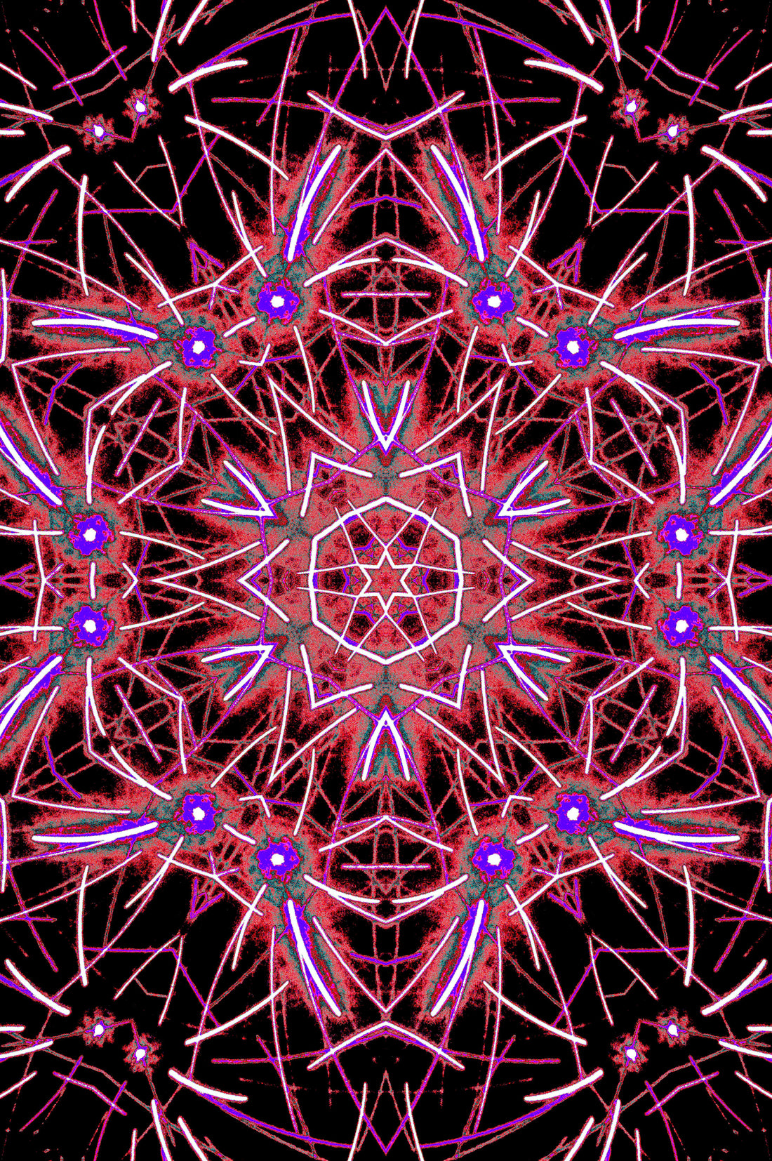 MAGENTA MANDALA — Premium Digitaler