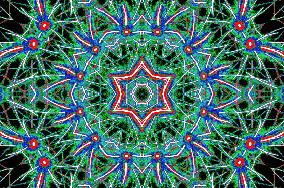 CHROMATIC FLORAL STAR — Premium Digitaler