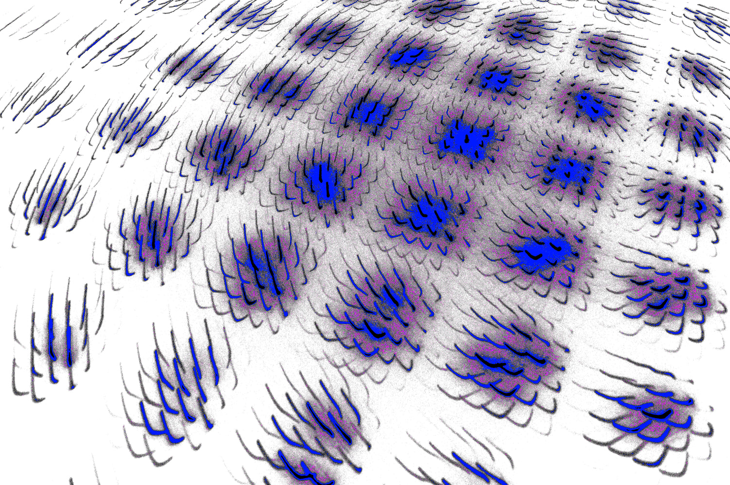 WAVE FIELD — Premium Digitaler Download