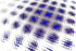WAVE FIELD — Premium Digitaler Download