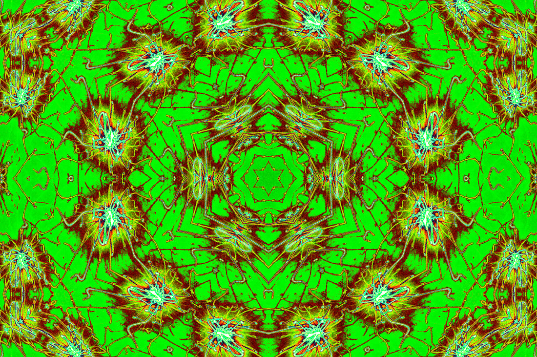 GREEN FRACTAL BLOOM — Digitaler Download