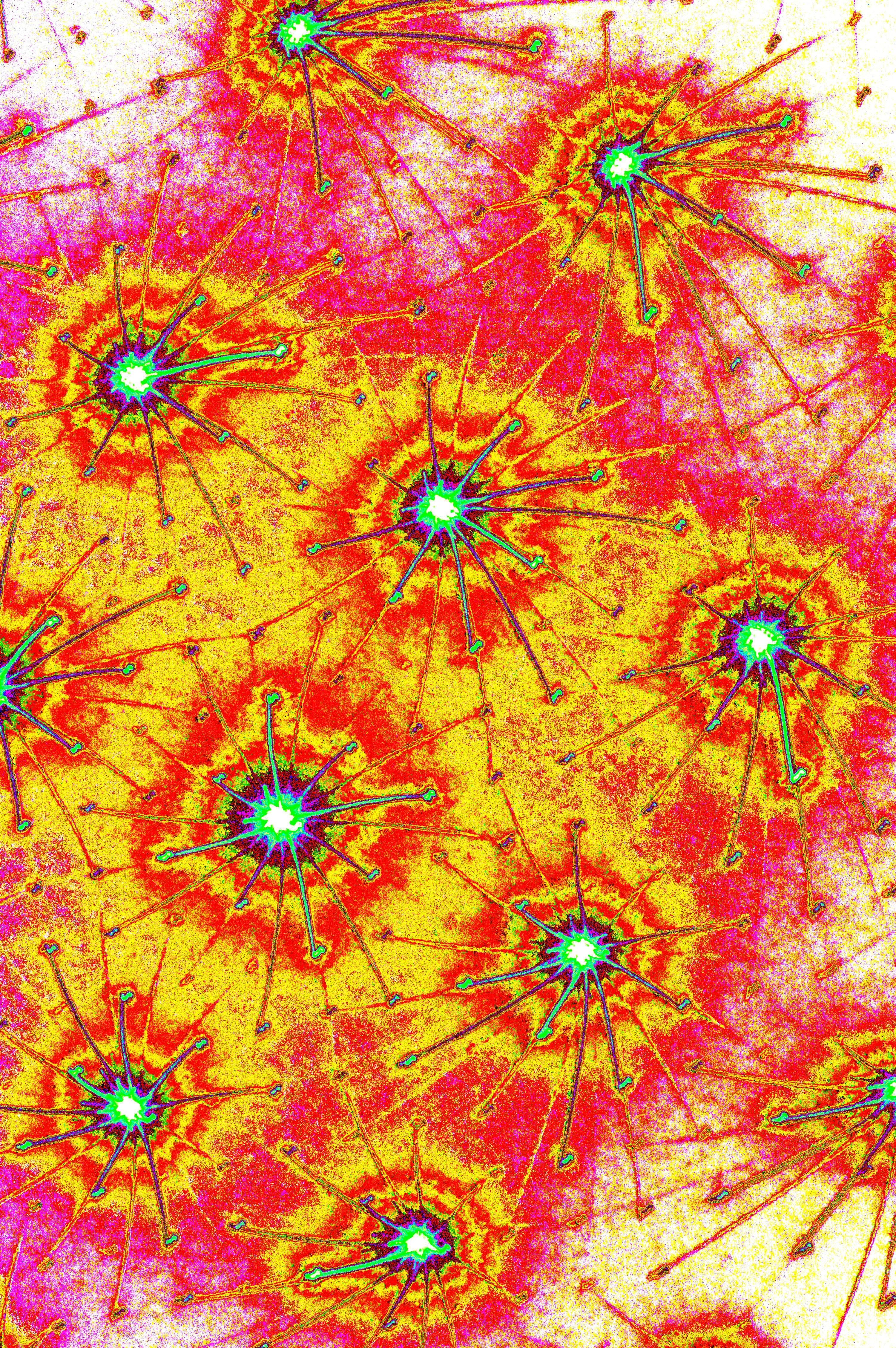 KOSMISCHER PSYCHEDELISCHER — Premium Kunstprint
