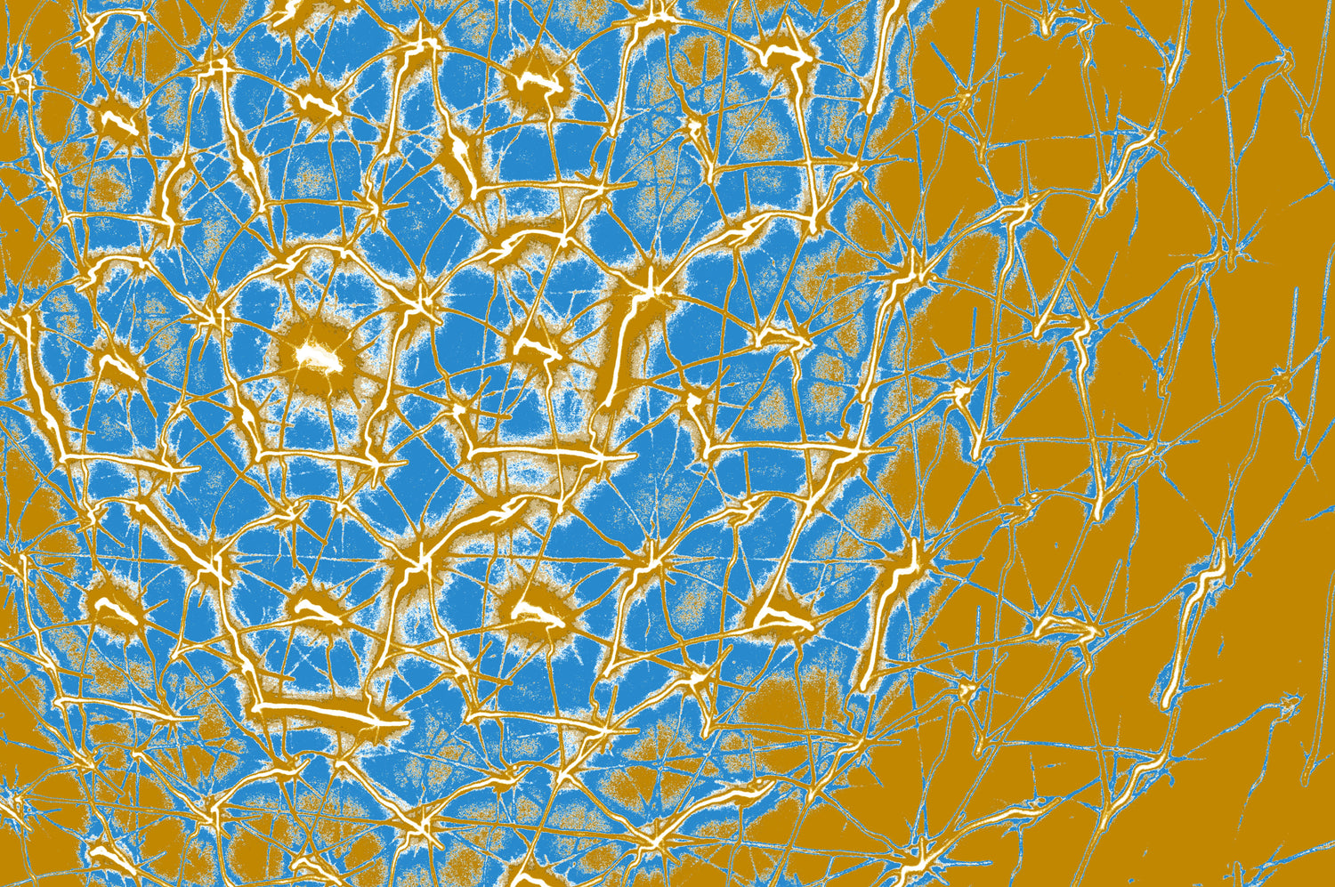 digitale korallen kunst zum download