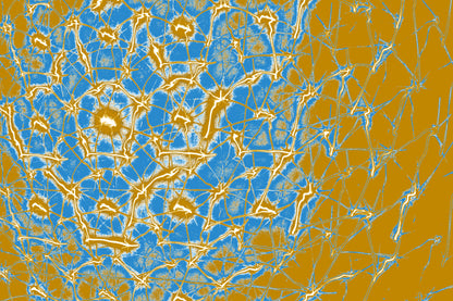 digitale korallen kunst zum download