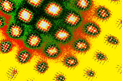 TROPISCHE VIREN — Premium Kunstprint