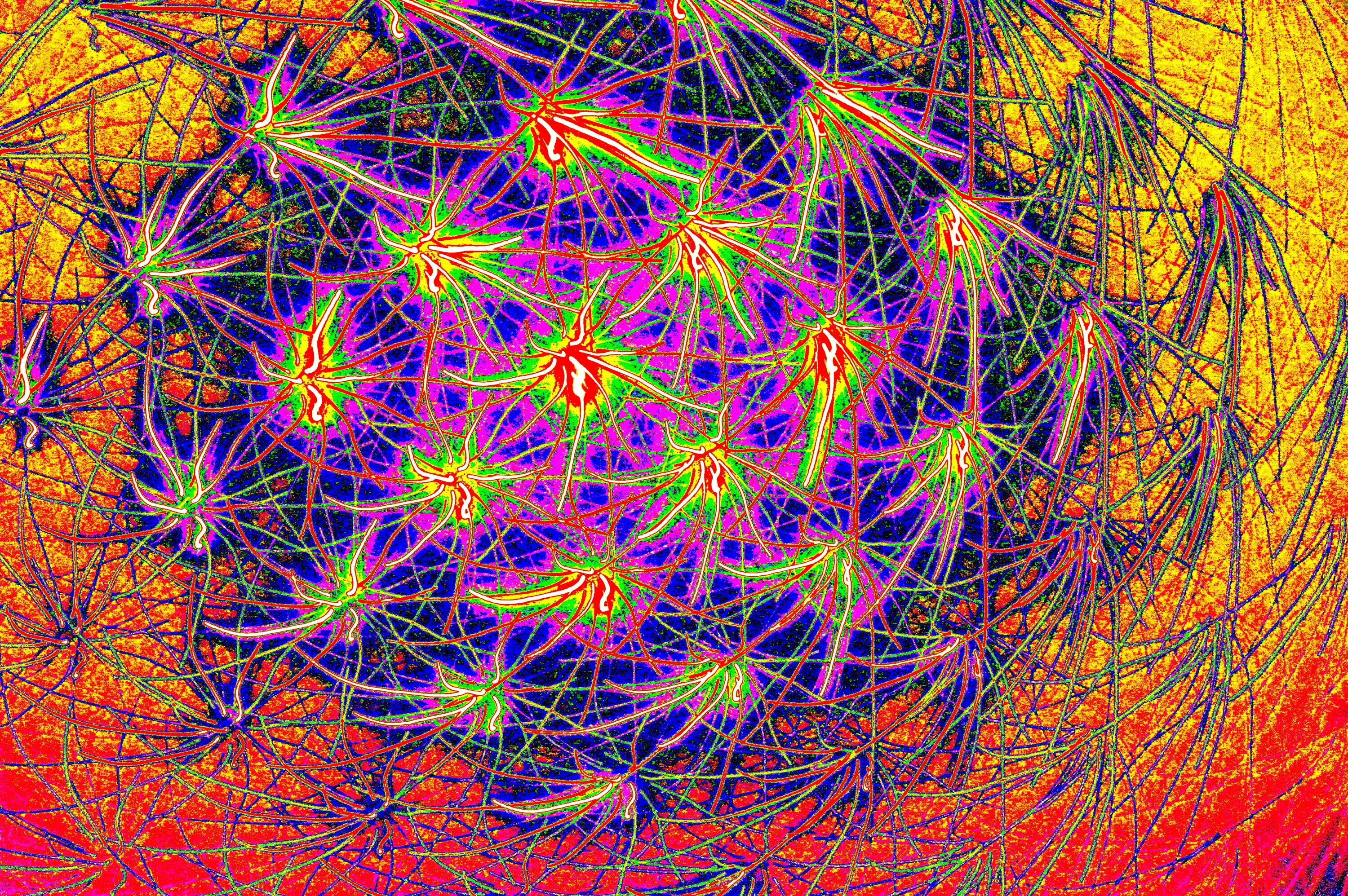 KOSMISCHES FRAKTALES NETZ — Premium Kunstprint