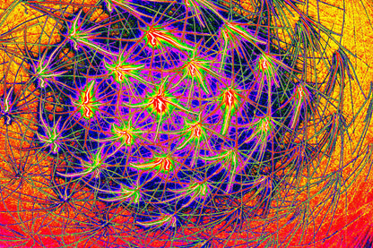 KOSMISCHES FRAKTALES NETZ — Premium Kunstprint