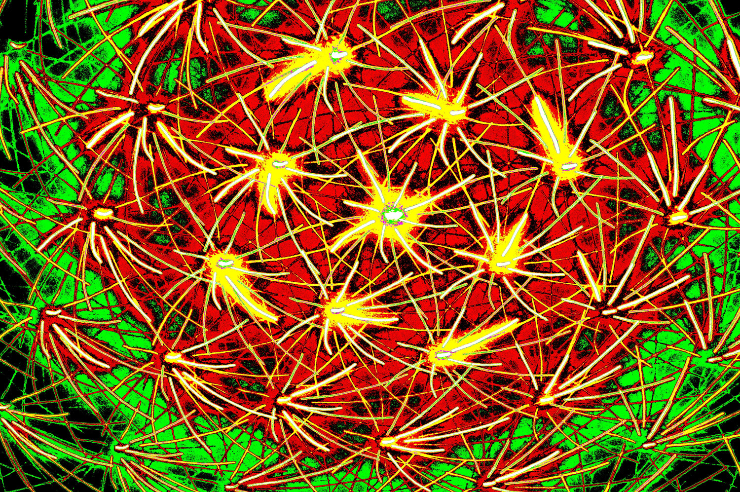 LEUCHTENDES NETZ — Premium Kunstprint