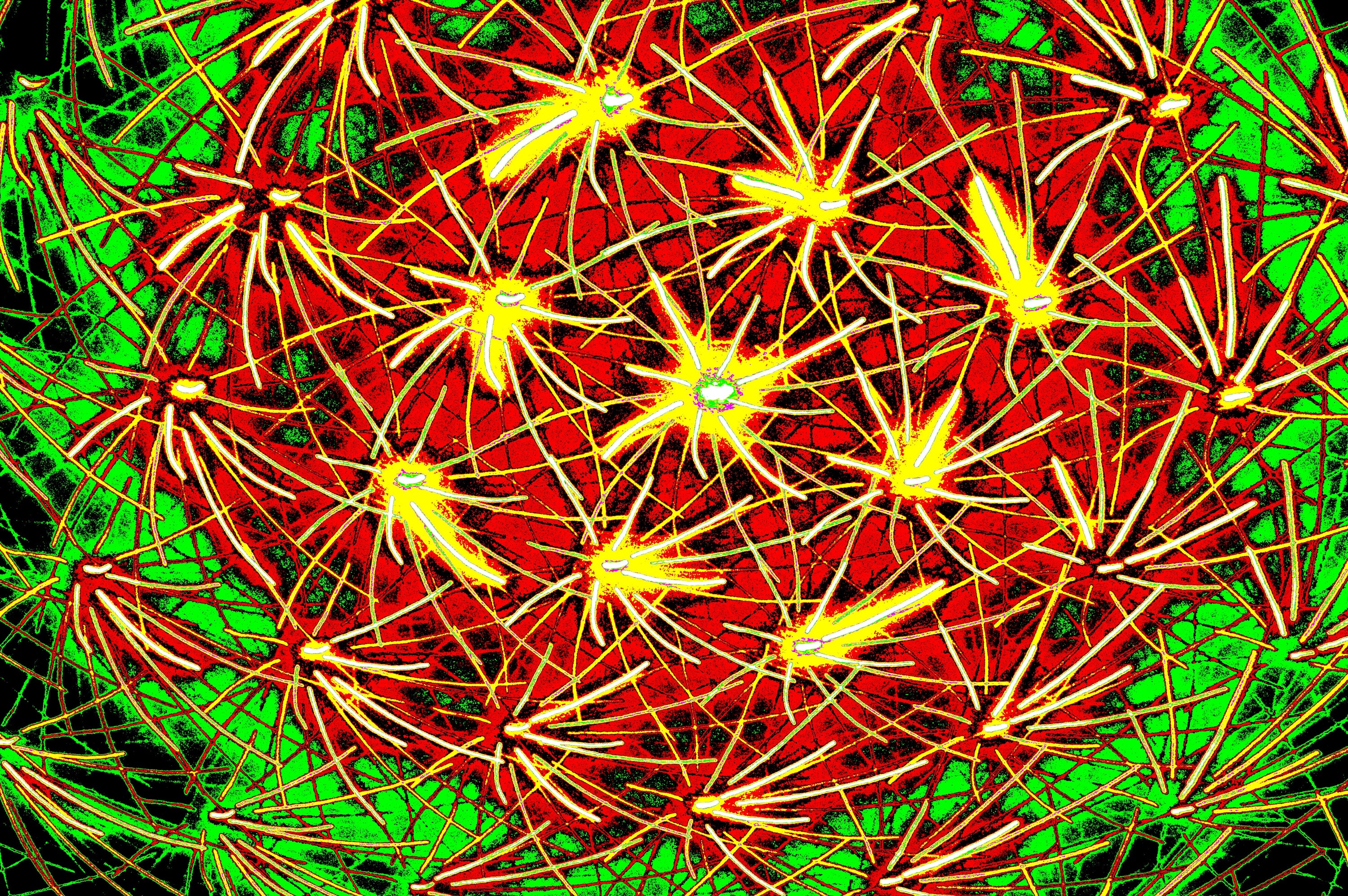 LEUCHTENDES NETZ — Premium Kunstprint