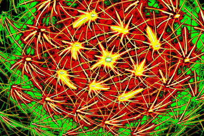 LEUCHTENDES NETZ — Premium Kunstprint
