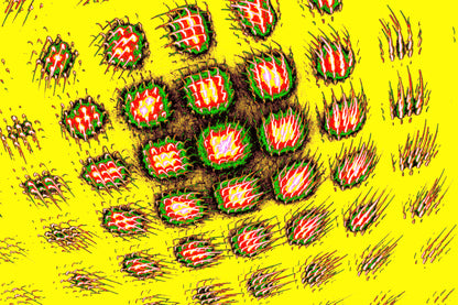 SPIRALFÖRMIGER ZELLCLUSTER — Premium Kunstprint