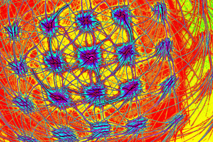 FRAKTALE ENERGIE — Premium Kunstprint