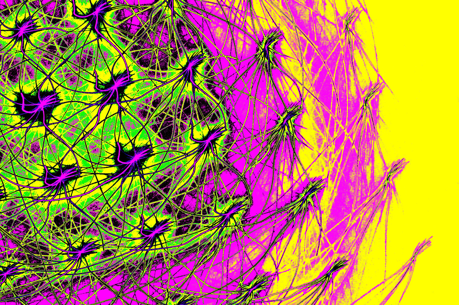KOSMISCHE NEON ZELLEN — Premium Kunstprint