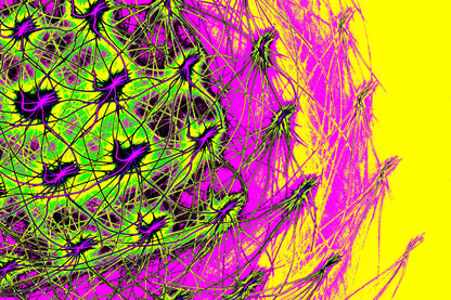 KOSMISCHE NEON ZELLEN — Premium Kunstprint