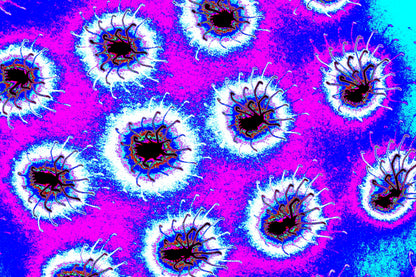 KOSMISCHE MIKROBEN — Premium Kunstprint