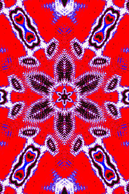 PETAL SYMMETRY WHEEL RED — Premium Kunstprint