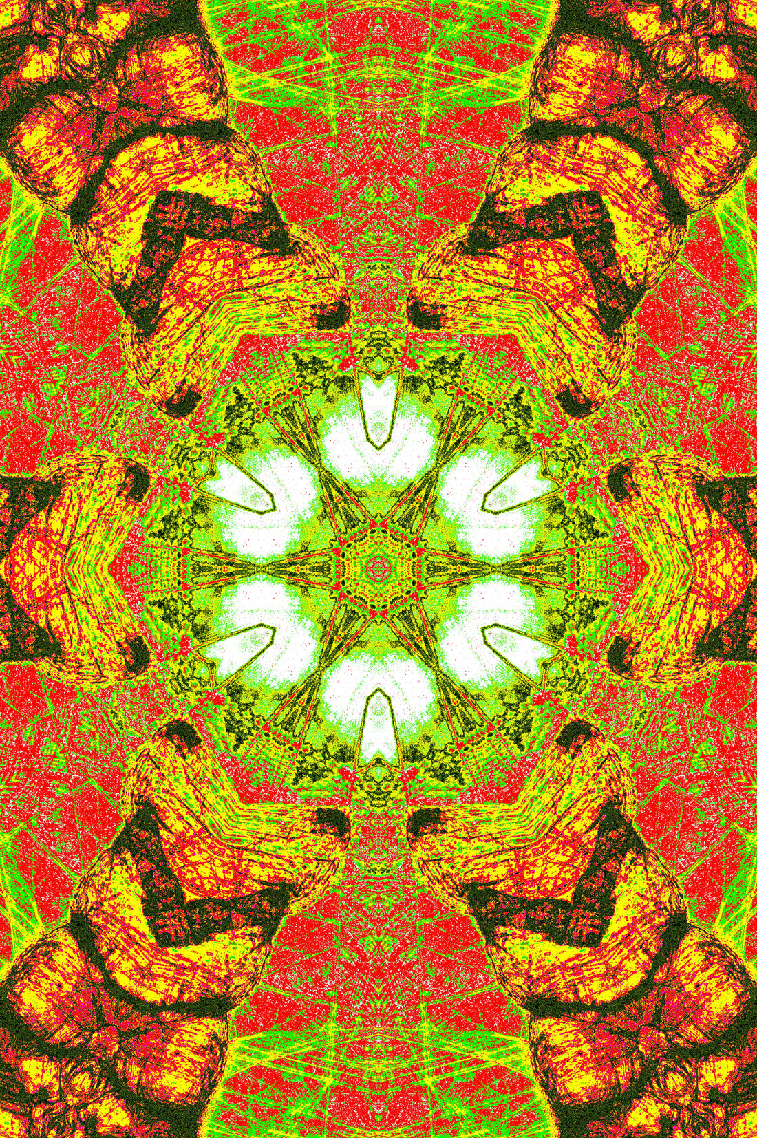 TROPISCHES KALEIDOSKOP — Premium Digitaler