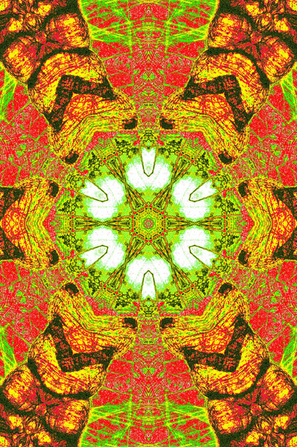 TROPISCHES KALEIDOSKOP — Premium Digitaler
