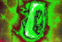 EMERALD BIO CORE — Premium Kunstprint