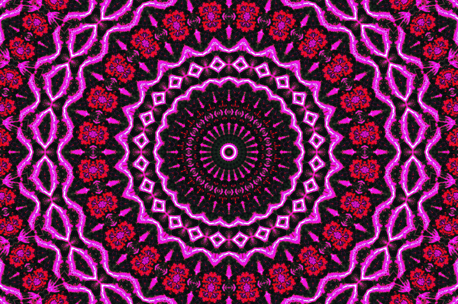 MAGENTA ROSE MANDALA — Digitaler Download