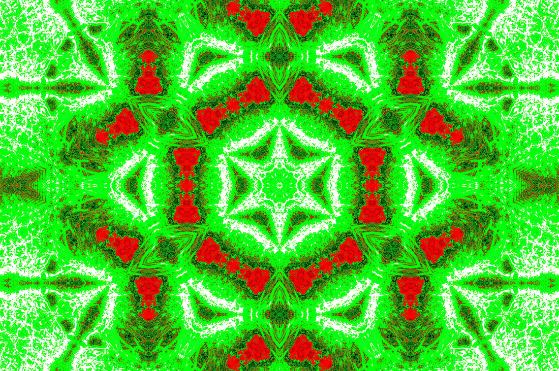 GREEN FERN STAR MANDALA — Digitaler Download