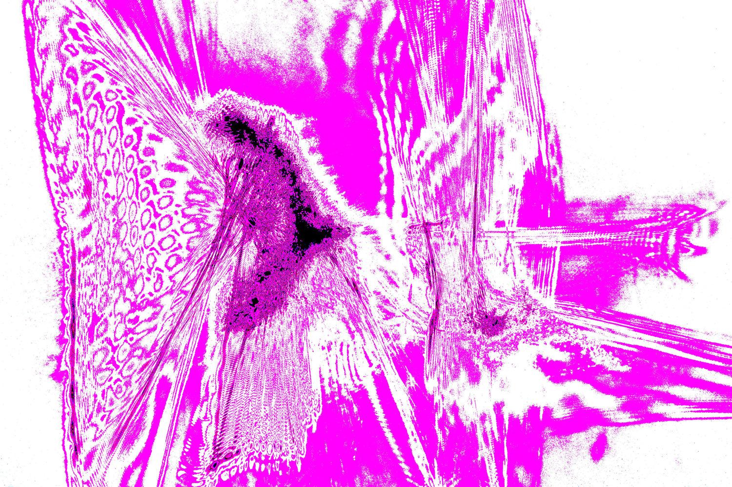 MAGENTA ABSTRACT PULSE — Premium Kunstprint