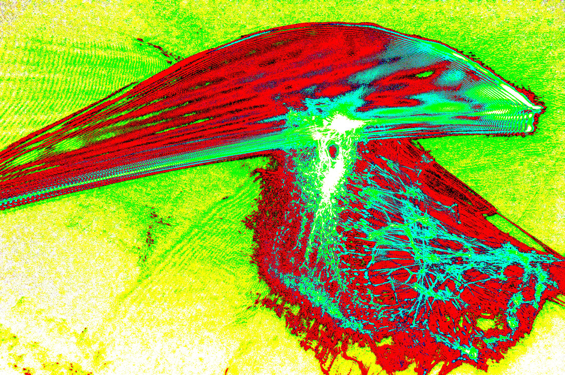 STRAHLENDER VEKTOR — Premium Kunstprint