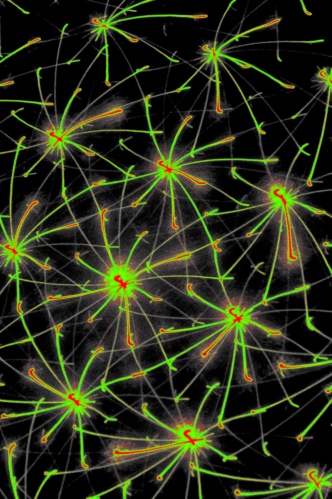 QUANTUM MATRIX — Digitale Kunst zum Download