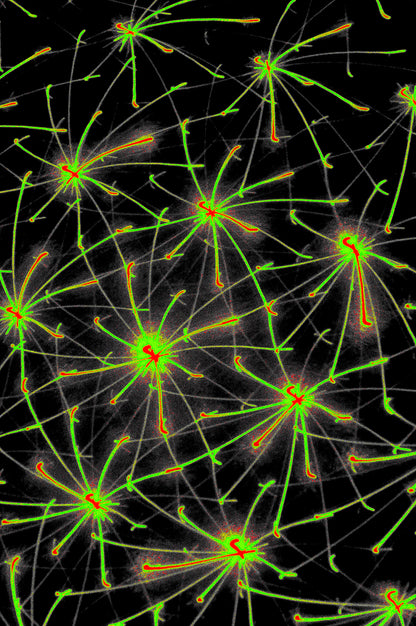 QUANTUM MATRIX — Digitale Kunst zum Download