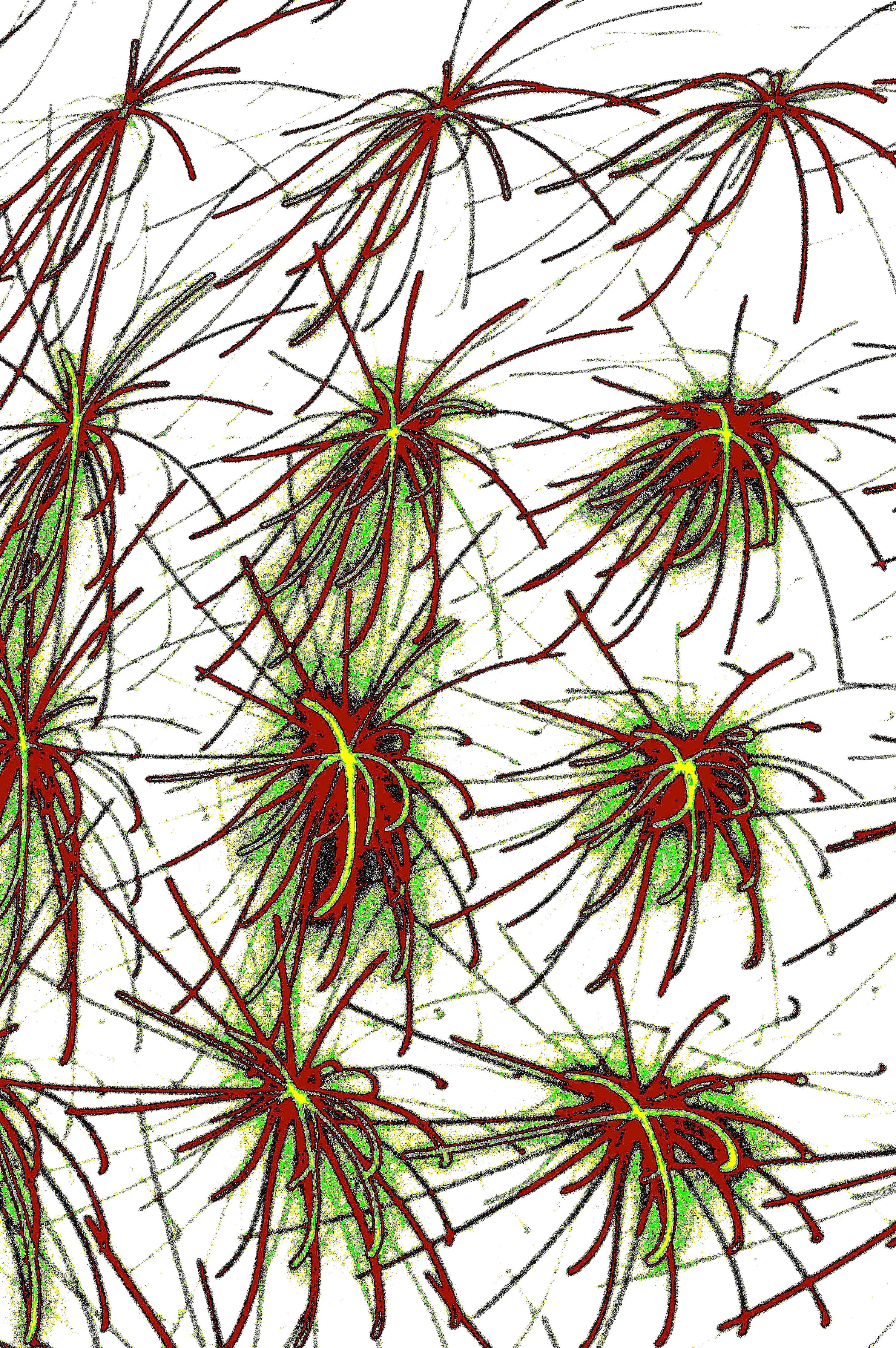 digitale Kunst CRIMSON THORN Download