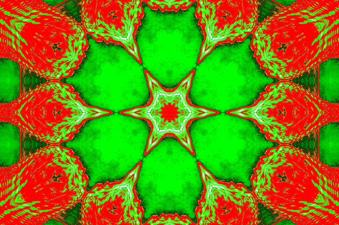 NEON FIRE BLOSSOM — Premium Kunstprint