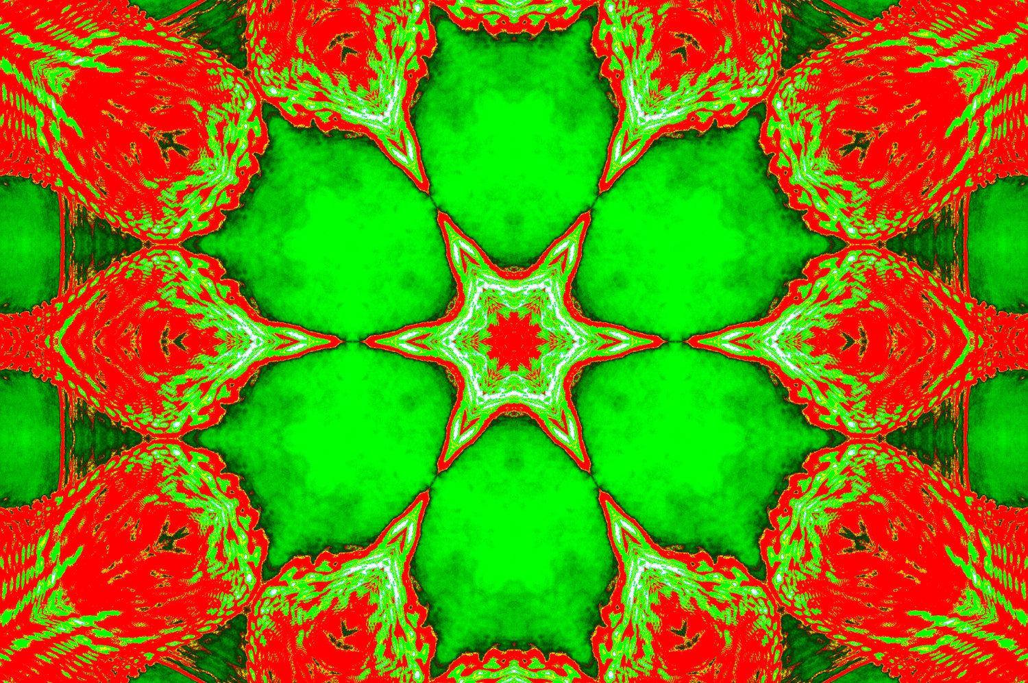 NEON FIRE BLOSSOM — Premium Kunstprint