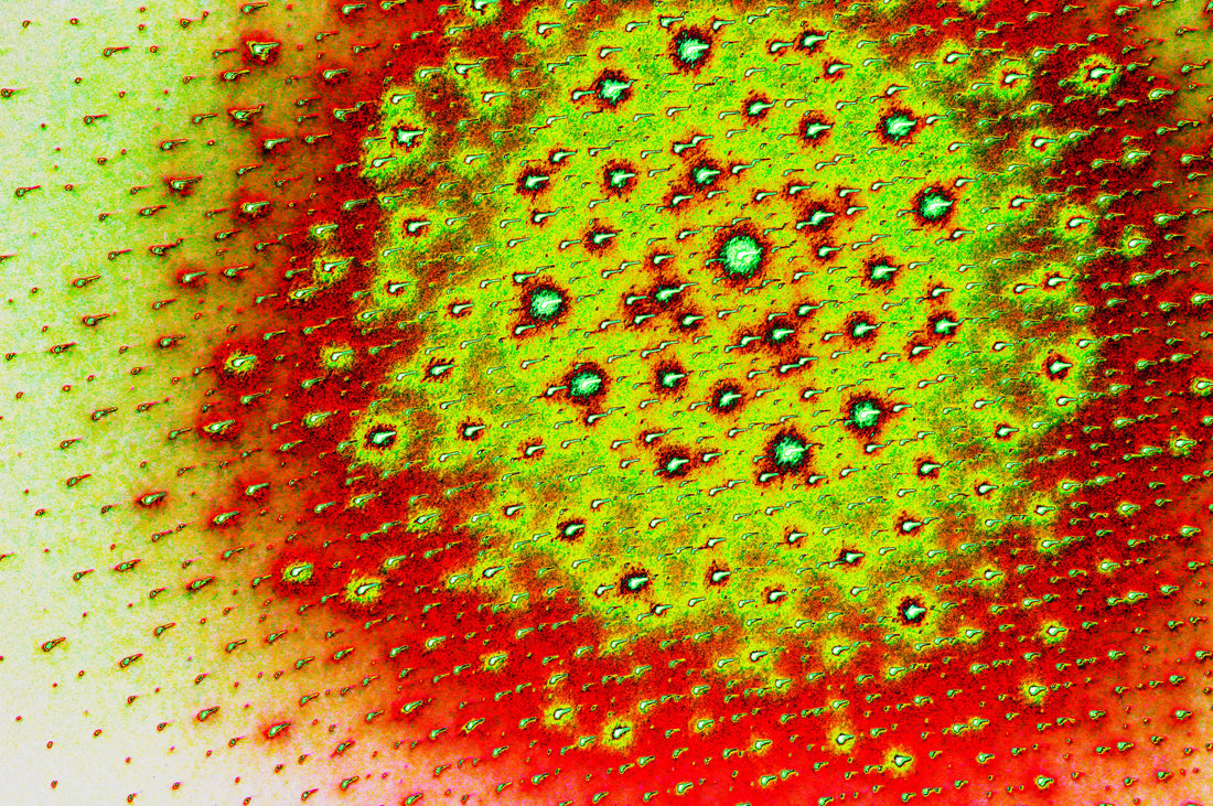 digitale Kunst Zellstrukturen herunterladen