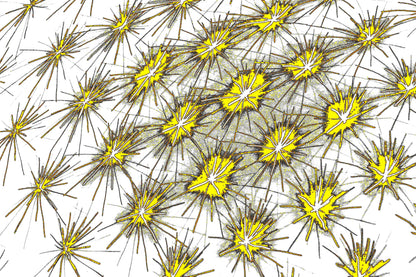 digitale Kunst Mikrokosmos Download