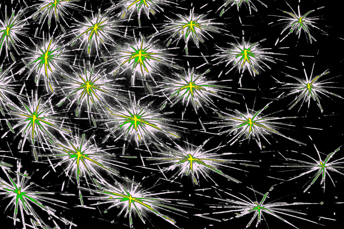 digitale Kunst DARK SPORE