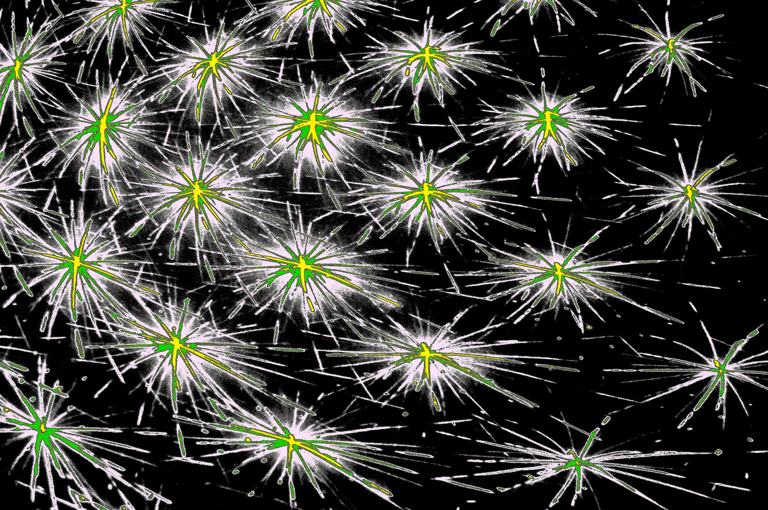 digitale Kunst DARK SPORE