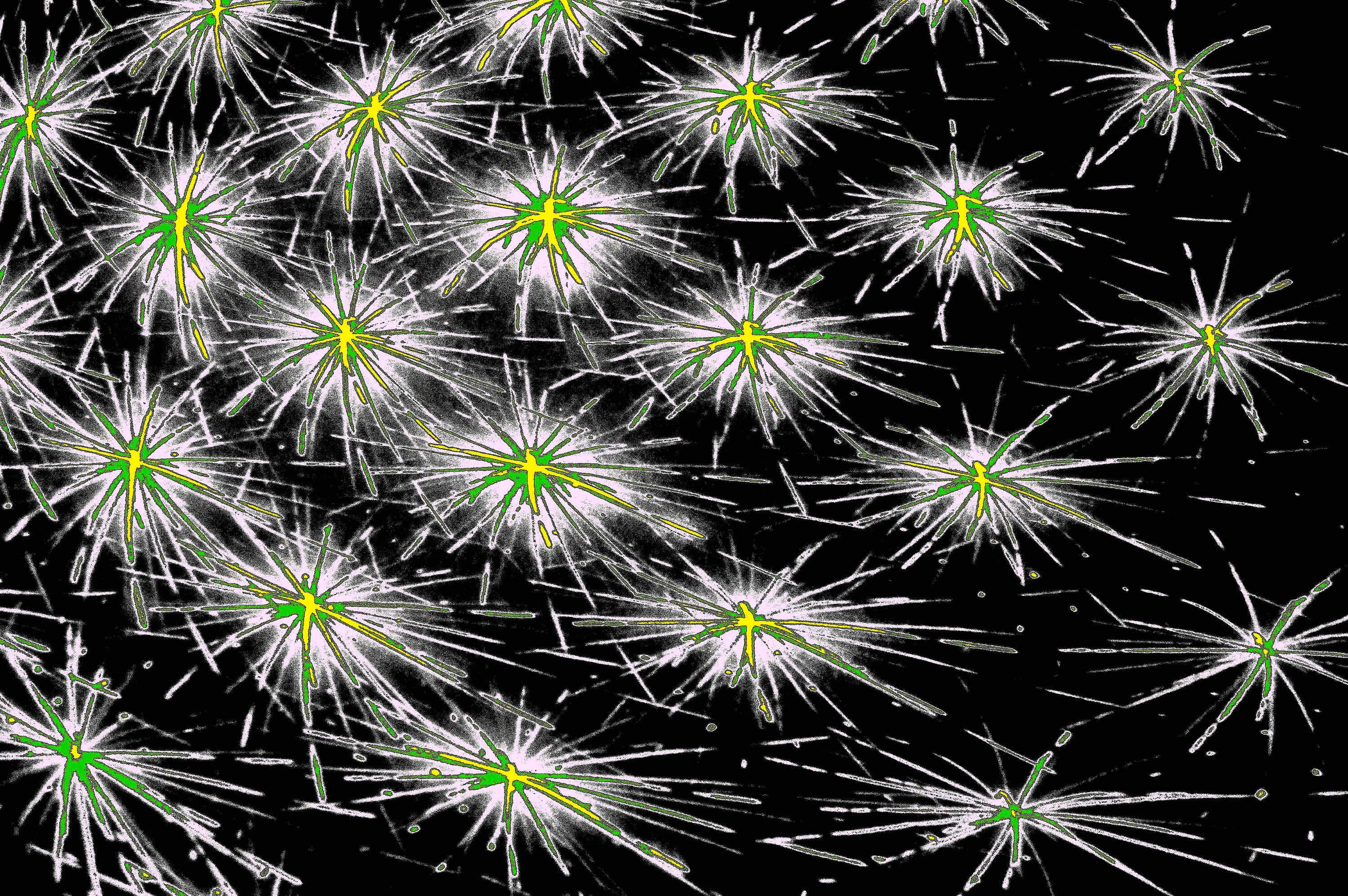 digitale Kunst DARK SPORE