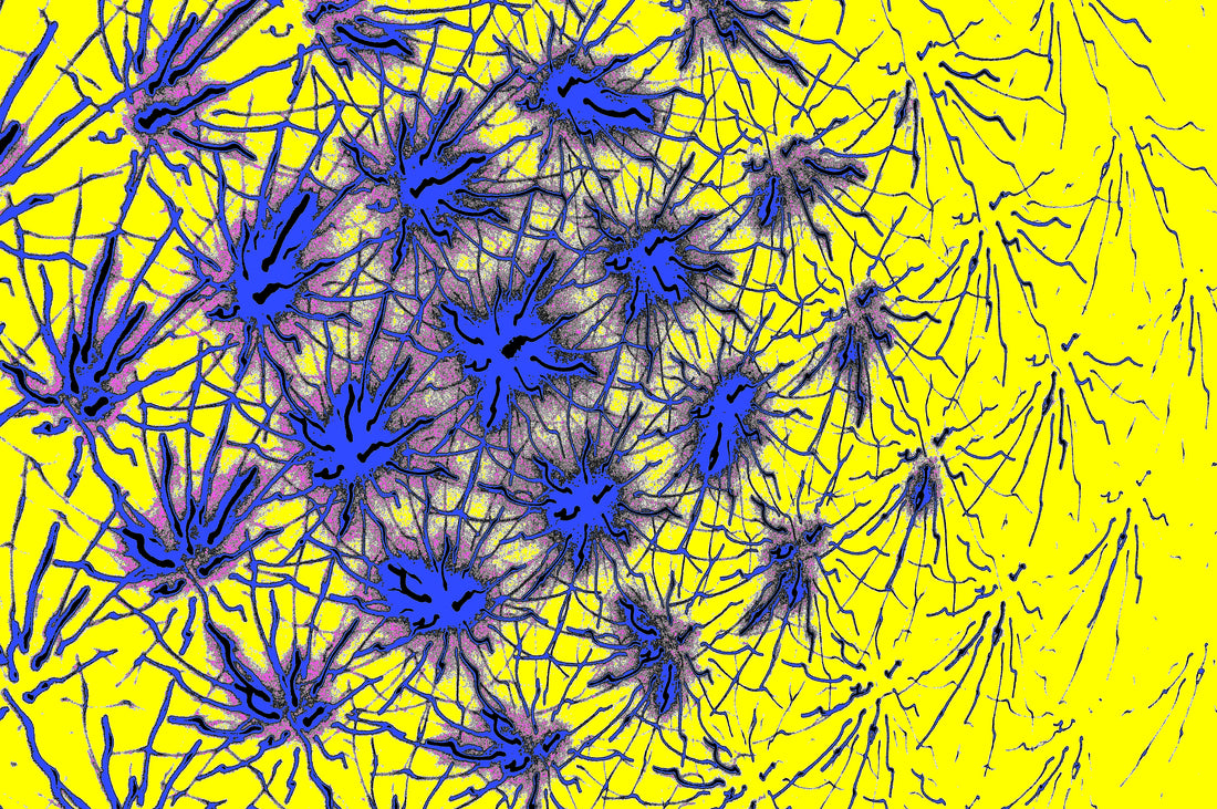 digitale psychedelische Kunst kaufen
