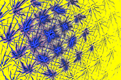 digitale psychedelische Kunst kaufen