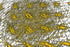 GOLDEN NETWORK — Premium Kunstprint