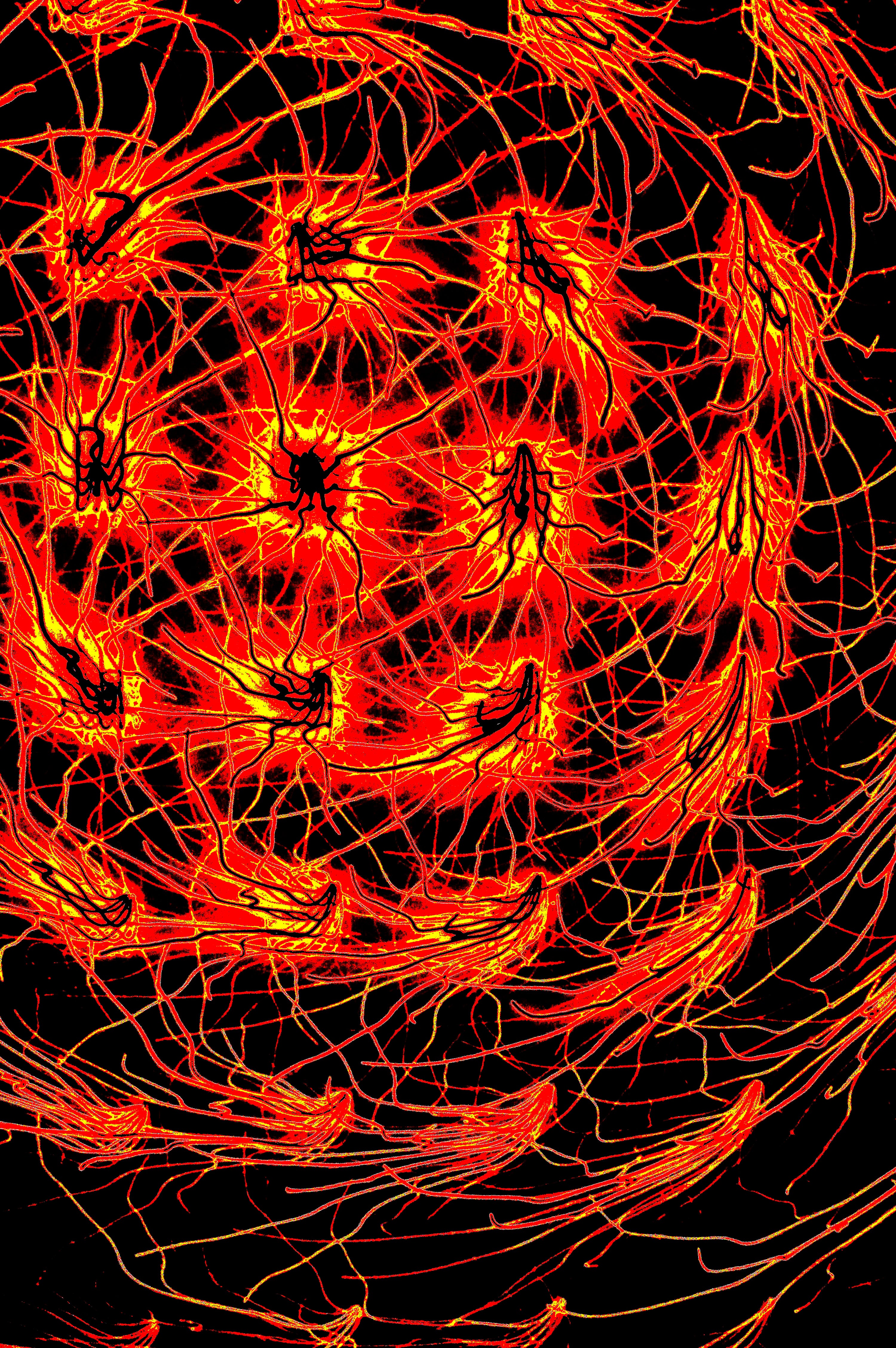CRIMSON FLUX — Digitale Kunst zum Download