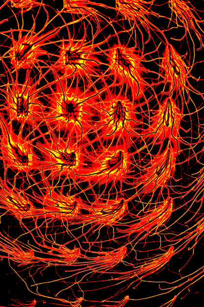 CRIMSON FLUX — Digitale Kunst zum Download