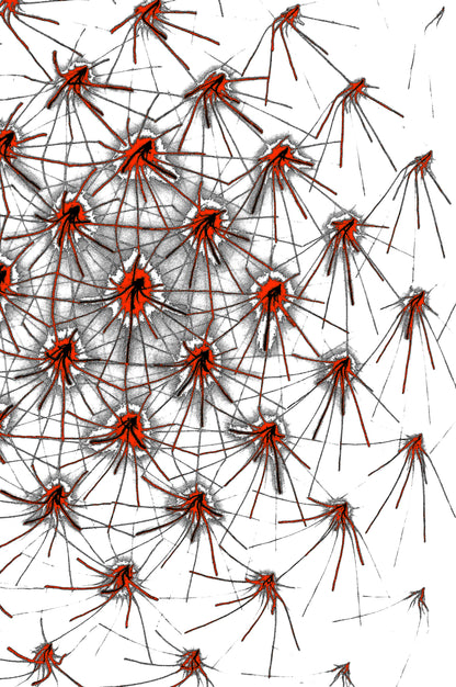 digitale kunst download crimson network