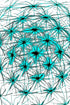 TURQUOISE SPIKY PATTERN — Premium Kunstprint
