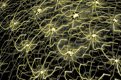 NEURALES NETZWERK — Premium Kunstprint