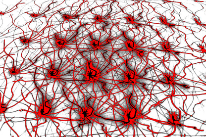 SYNAPTISCHES ROT — Premium Kunstprint